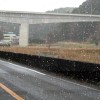 雪の中