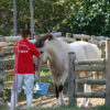 うだアニマルパークでポニー乗馬体験