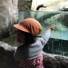 鳥羽水族館